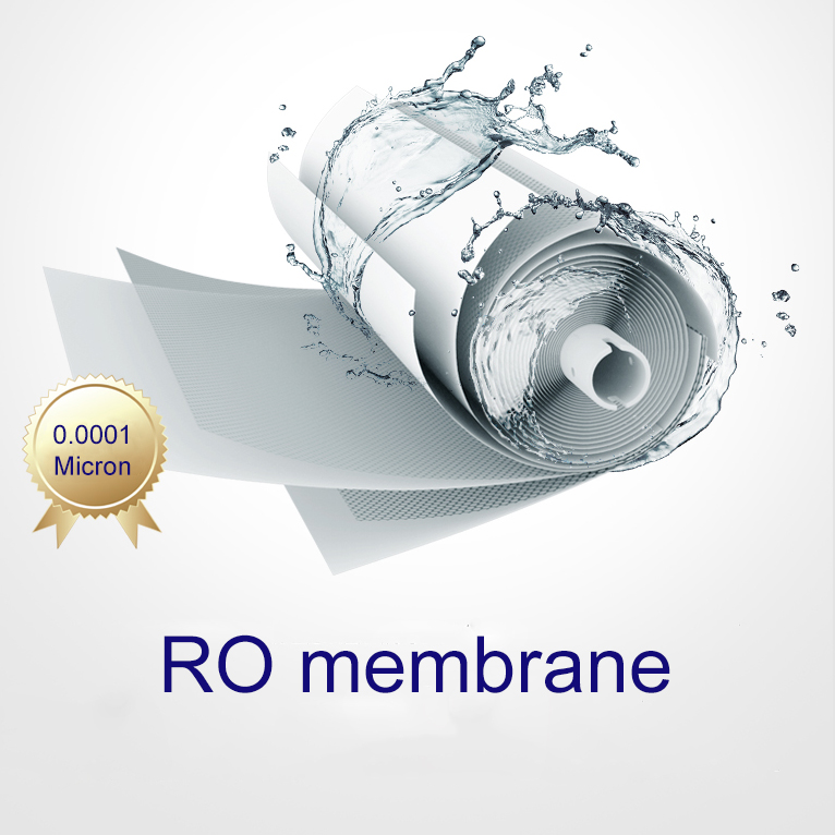 ro membrane of the ro water filter